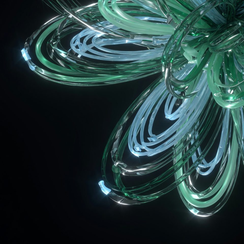 Generated specimen oc26-v1-emerald-field-grok-imagine-quality-03