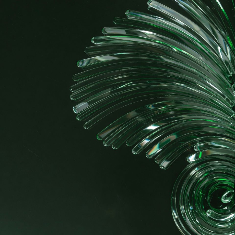 Generated specimen oc26r-r4e-optical-emerald-grok-imagine-quality-03