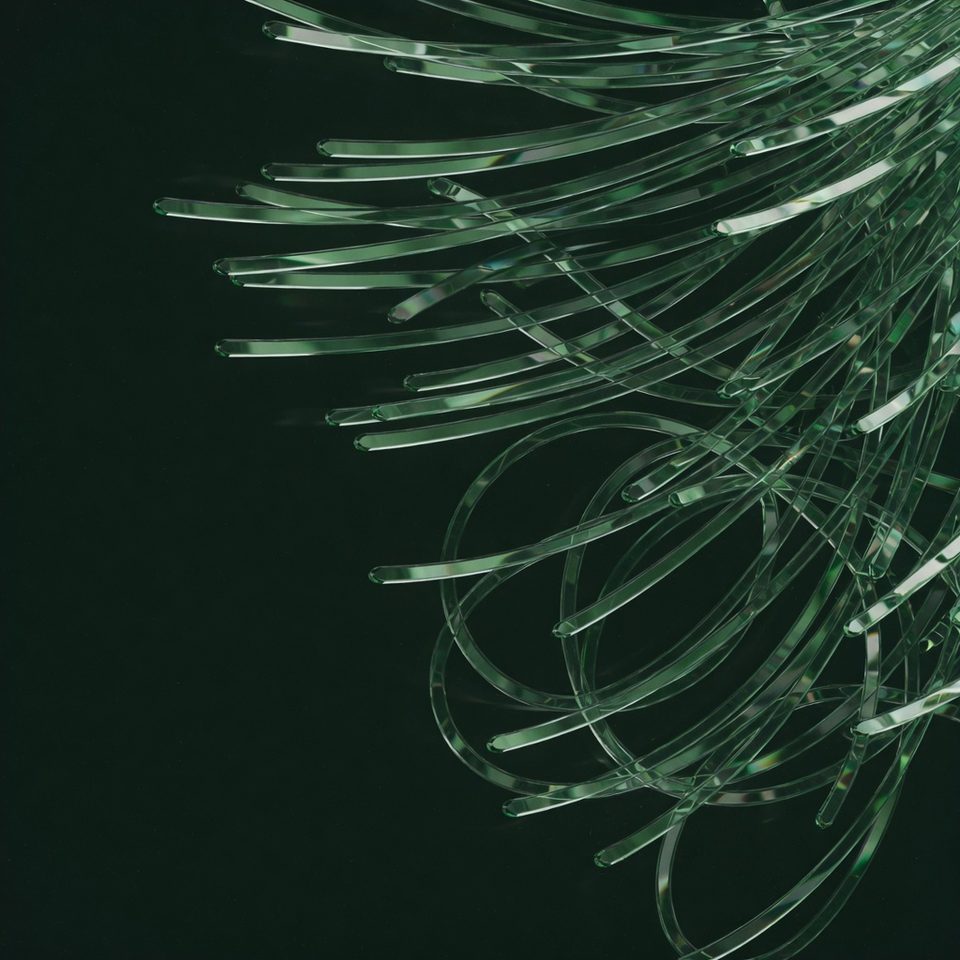Generated specimen oc26r-r5b-macro-chaotic-order-grok-imagine-quality-01